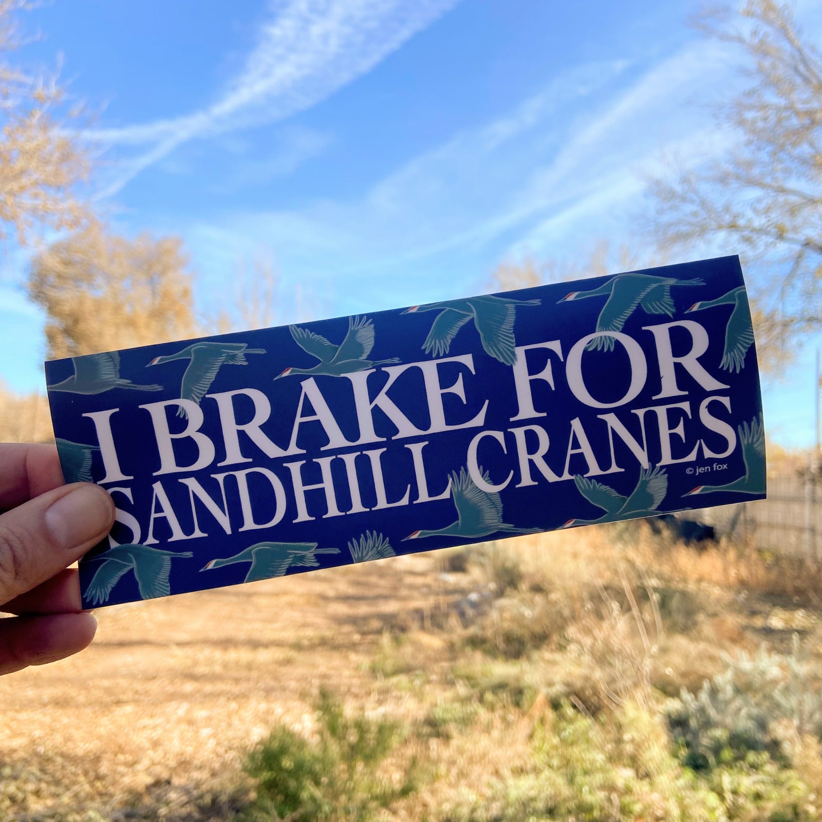 I Brake for Sandhill Cranes Bumper Sticker