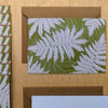 Green Ferns Note Card Boxed Set - 8 Flat Cards